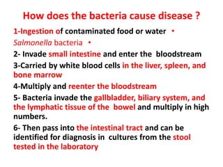 How does the bacteria cause disease ?
•1-Ingestion of contaminated food or water
•Salmonella bacteria
2- Invade small intestine and enter the bloodstream
3-Carried by white blood cells in the liver, spleen, and
bone marrow
4-Multiply and reenter the bloodstream
5- Bacteria invade the gallbladder, biliary system, and
the lymphatic tissue of the bowel and multiply in high
numbers.
6- Then pass into the intestinal tract and can be
identified for diagnosis in cultures from the stool
tested in the laboratory
 