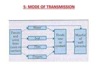 5- MODE OF TRANSMISSION
 