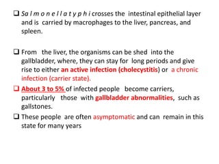 Sa l m o n e l l a t y p h i crosses the intestinal epithelial layer
and is carried by macrophages to the liver, pancreas, and
spleen.
 From the liver, the organisms can be shed into the
gallbladder, where, they can stay for long periods and give
rise to either an active infection (cholecystitis) or a chronic
infection (carrier state).
 About 3 to 5% of infected people become carriers,
particularly those with gallbladder abnormalities, such as
gallstones.
 These people are often asymptomatic and can remain in this
state for many years
 