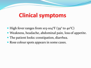 Clinical symptoms
 High fever ranges from 103-104°F (39° to 40°C)
 Weakness, headache, abdominal pain, loss of appetite.
 The patient looks: constipation, diarrhea.
 Rose colour spots appears in some cases.
 