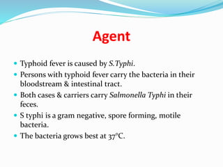Agent
 Typhoid fever is caused by S.Typhi.
 Persons with typhoid fever carry the bacteria in their
bloodstream & intestinal tract.
 Both cases & carriers carry Salmonella Typhi in their
feces.
 S typhi is a gram negative, spore forming, motile
bacteria.
 The bacteria grows best at 37°C.
 
