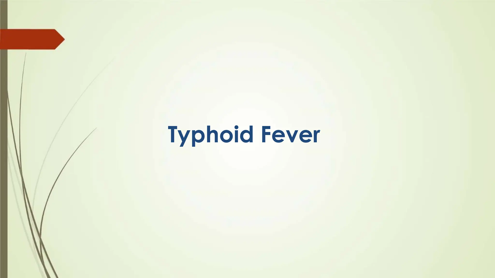 Typhoid fever ppt Typhoid fever ppt