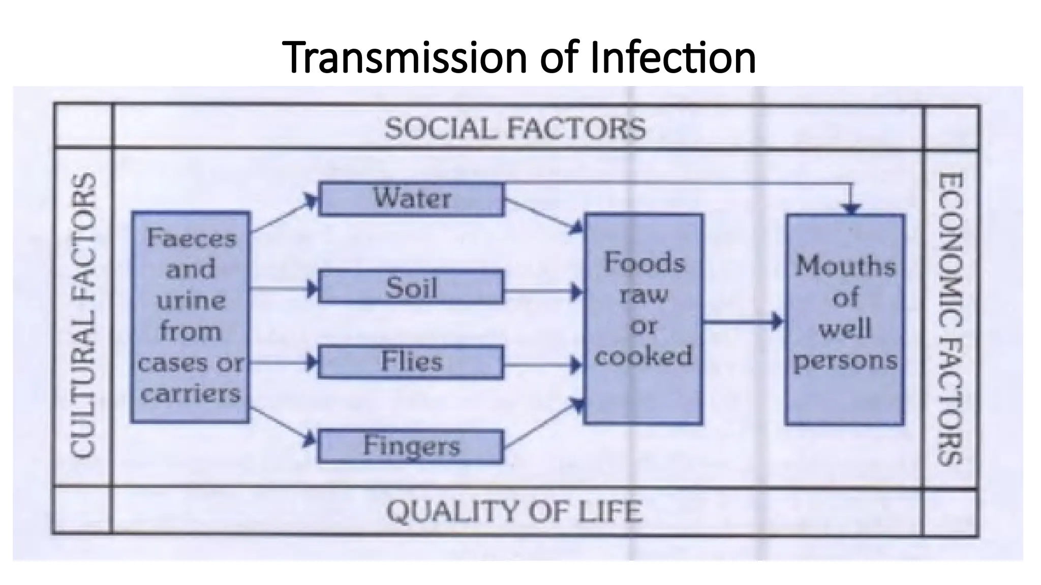 Transmission of Infection
 