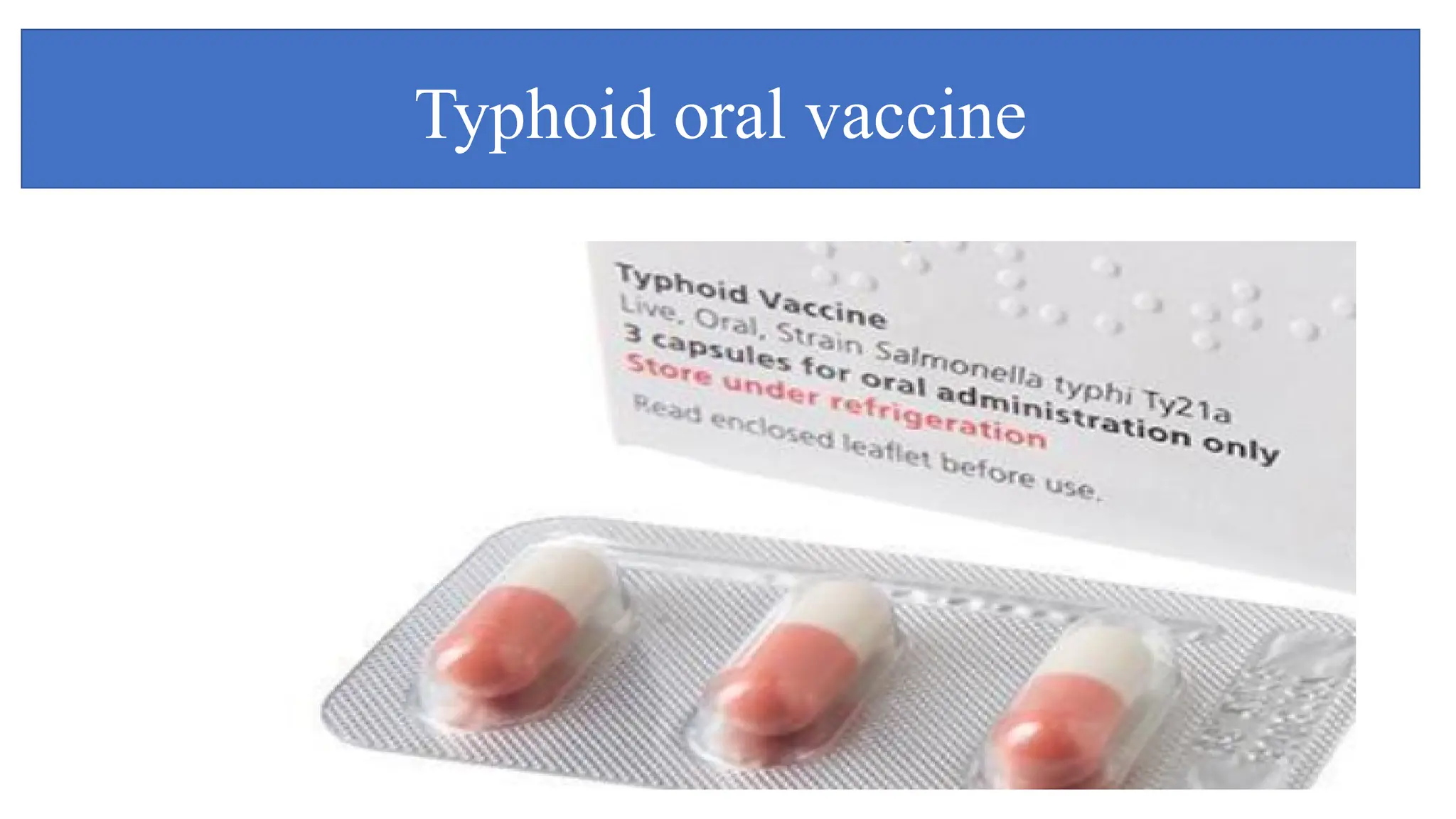 Typhoid oral vaccine
 