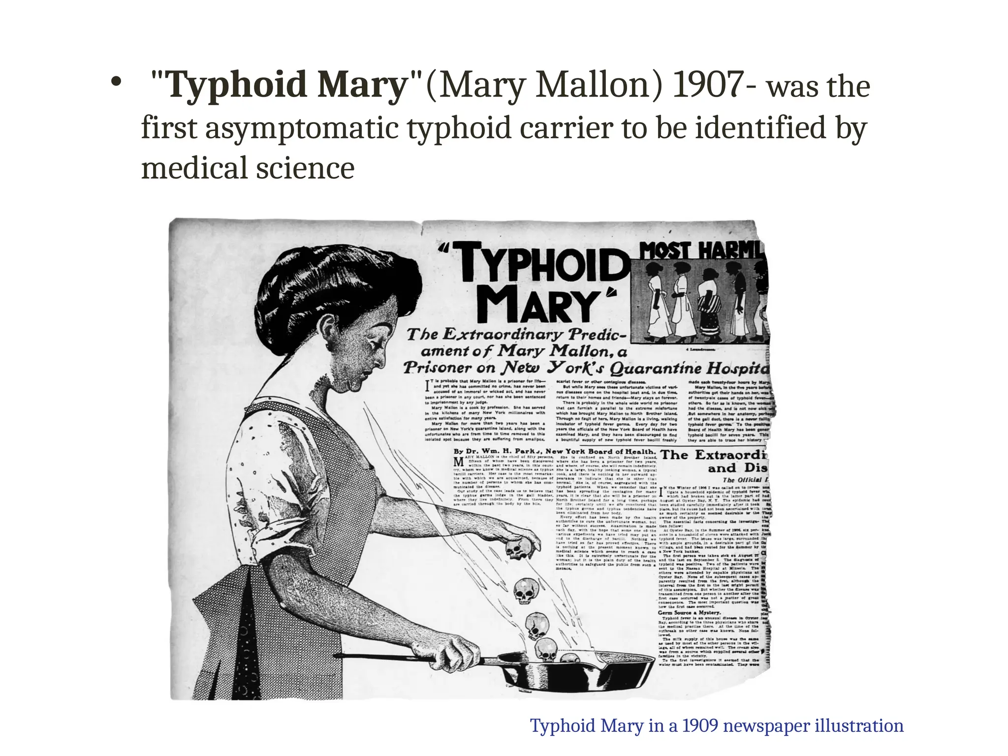 • "Typhoid Mary"(Mary Mallon) 1907- was the
first asymptomatic typhoid carrier to be identified by
medical science
Typhoid Mary in a 1909 newspaper illustration
 