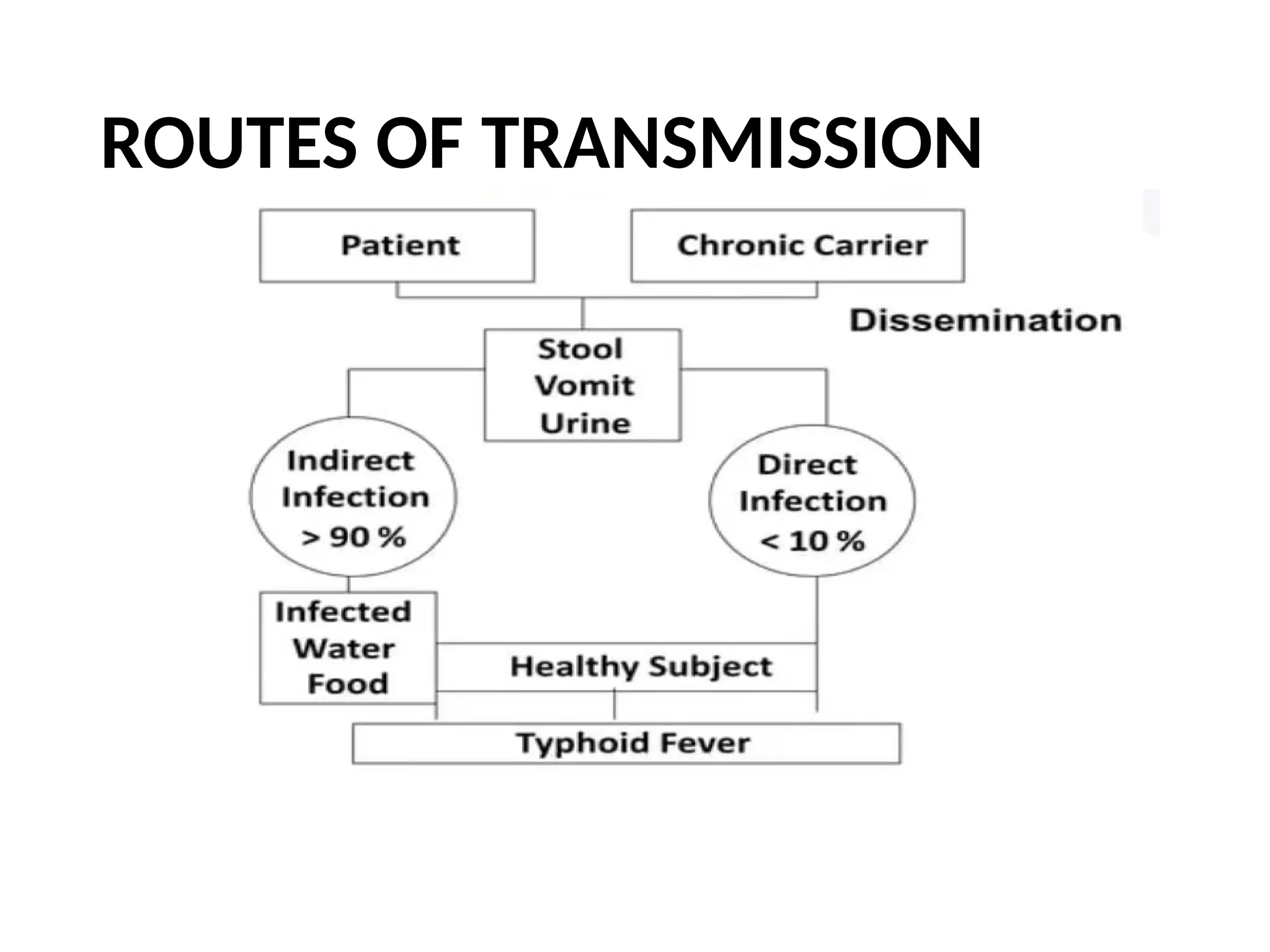 ROUTES OF TRANSMISSION
 