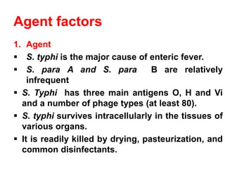 Agent factors
1. Agent
▪ S. typhi is the major cause of enteric fever.
▪ S. para A and S. para B are relatively
infrequent
▪ S. Typhi has three main antigens O, H and Vi
and a number of phage types (at least 80).
▪ S. typhi survives intracellularly in the tissues of
various organs.
▪ It is readily killed by drying, pasteurization, and
common disinfectants.
 