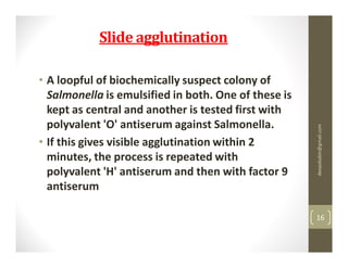 Slide agglutination

• A loopful of biochemically suspect colony of
  Salmonella is emulsified in both. One of these is
  kept as central and another is tested first with
  polyvalent 'O' antiserum against Salmonella.




                                                      deepababin@gmail.com
• If this gives visible agglutination within 2
  minutes, the process is repeated with
  polyvalent 'H' antiserum and then with factor 9
  antiserum

                                                      16
 