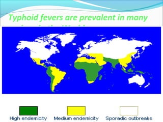Typhoid fevers are prevalent in many
regions in the World
 