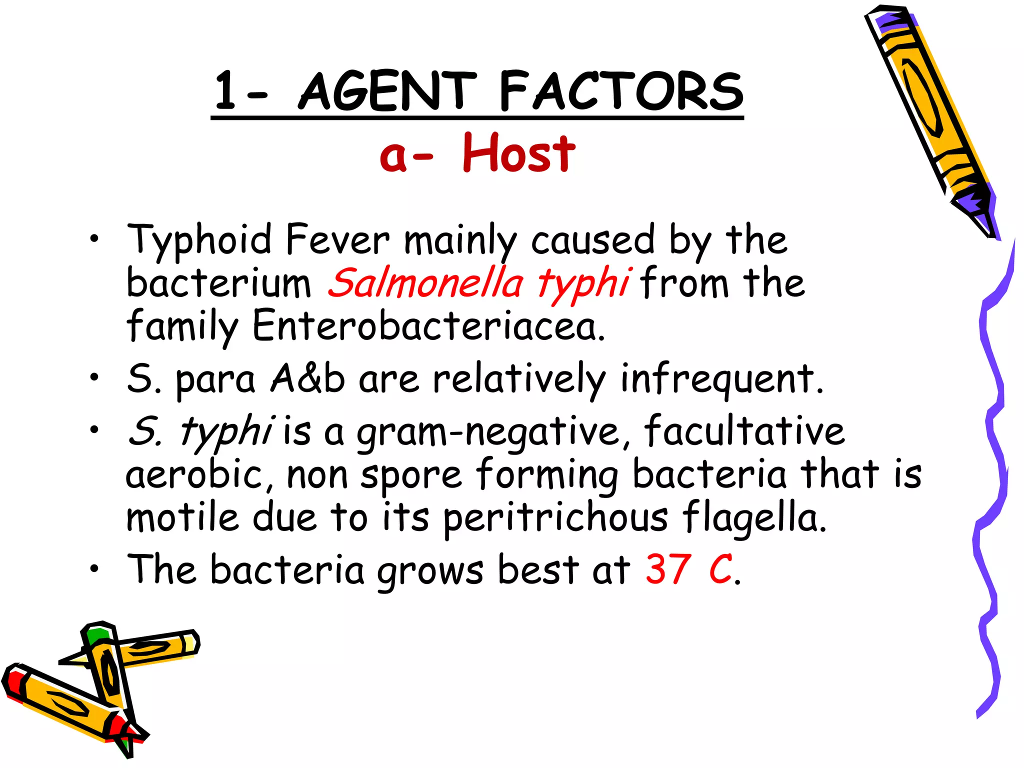 1- AGENT FACTORS
a- Host
• Typhoid Fever mainly caused by the
bacterium Salmonella typhi from the
family Enterobacteriacea.
• S. para A&b are relatively infrequent.
• S. typhi is a gram-negative, facultative
aerobic, non spore forming bacteria that is
motile due to its peritrichous flagella.
• The bacteria grows best at 37 C.
 