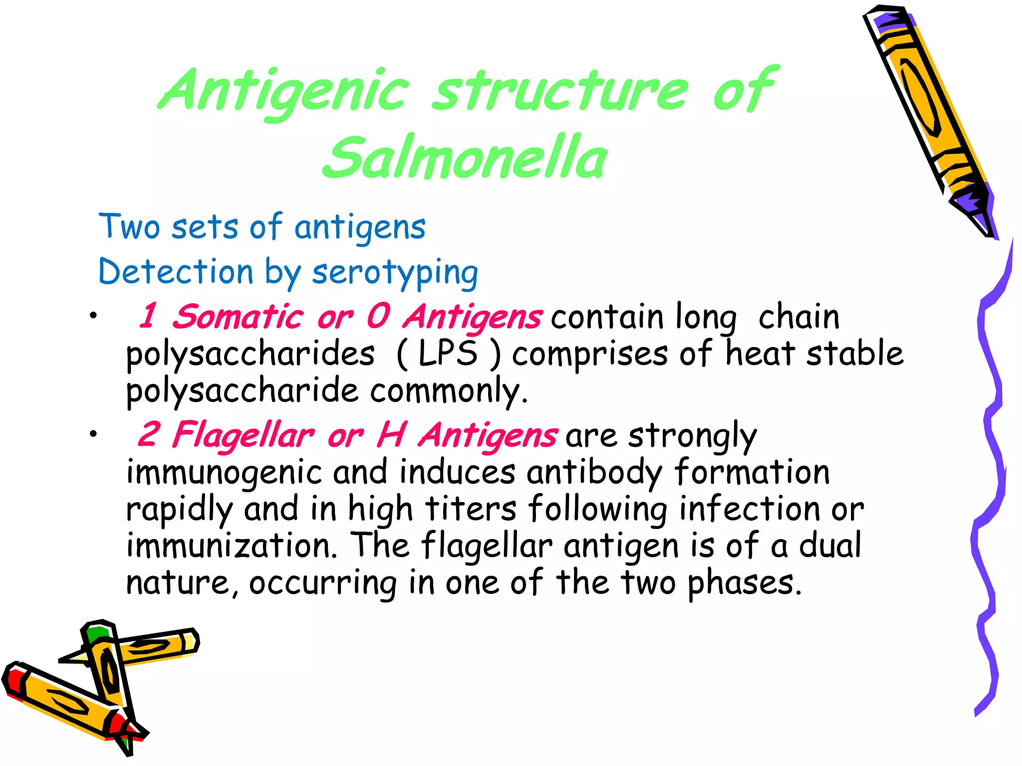 Antigenic structure of
Salmonella
Two sets of antigens
Detection by serotyping
• 1 Somatic or 0 Antigens contain long chain
polysaccharides ( LPS ) comprises of heat stable
polysaccharide commonly.
• 2 Flagellar or H Antigens are strongly
immunogenic and induces antibody formation
rapidly and in high titers following infection or
immunization. The flagellar antigen is of a dual
nature, occurring in one of the two phases.
 