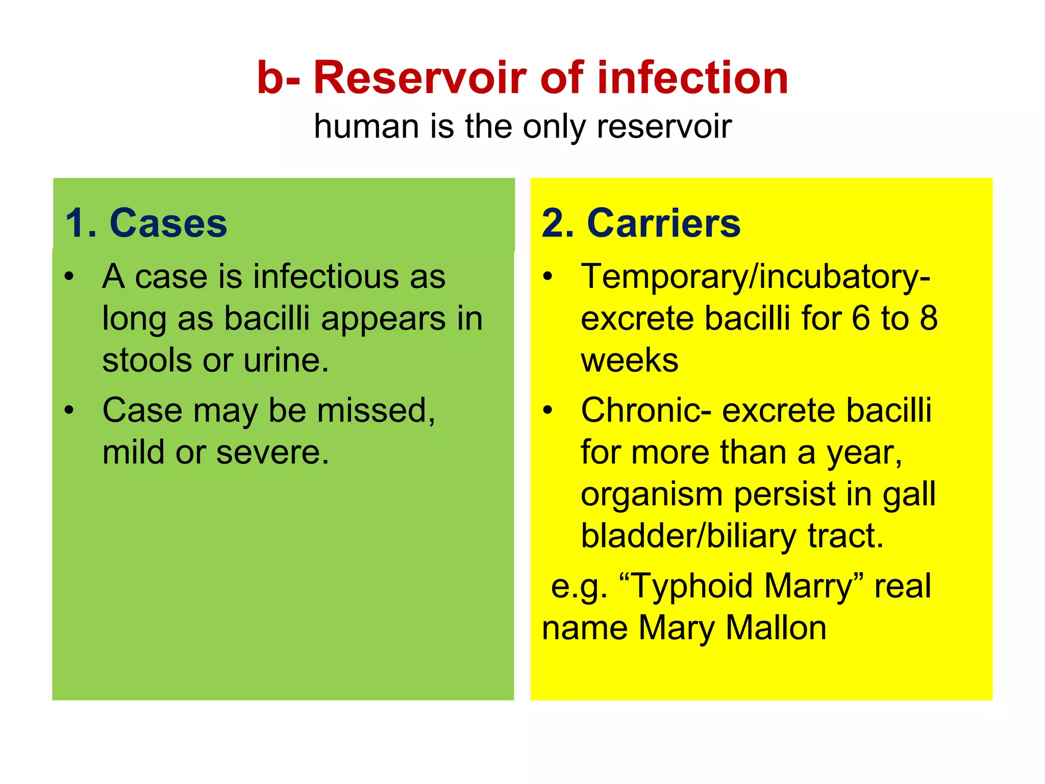 b- Reservoir of infection
human is the only reservoir
1. Cases
• A case is infectious as
long as bacilli appears in
stools or urine.
• Case may be missed,
mild or severe.
2. Carriers
• Temporary/incubatory-
excrete bacilli for 6 to 8
weeks
• Chronic- excrete bacilli
for more than a year,
organism persist in gall
bladder/biliary tract.
e.g. “Typhoid Marry” real
name Mary Mallon
 