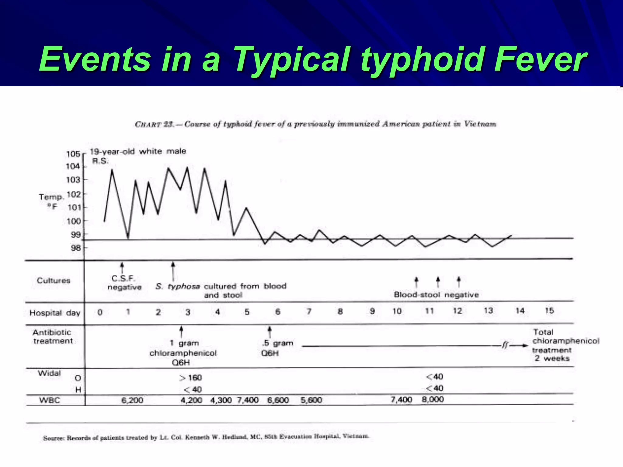 Events in a Typical typhoid Fever
 