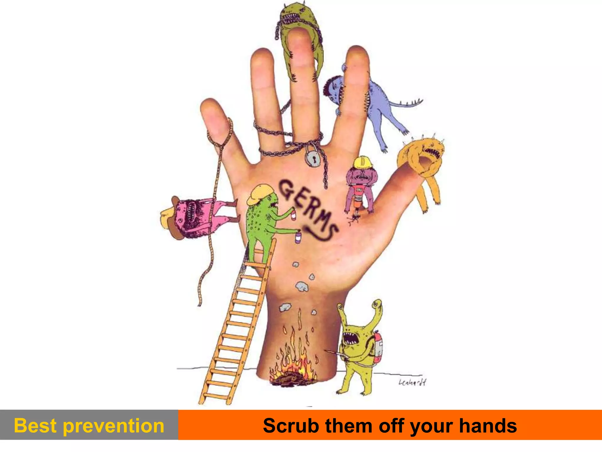 Best prevention Scrub of them off your handsBest prevention Scrub them off your hands
 