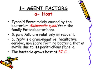 1- AGENT FACTORS
a- Host
• Typhoid Fever mainly caused by the
bacterium Salmonella typhi from the
family Enterobacteriacea.
• S. para A&b are relatively infrequent.
• S. typhi is a gram-negative, facultative
aerobic, non spore forming bacteria that is
motile due to its peritrichous flagella.
• The bacteria grows best at 37 C.
 