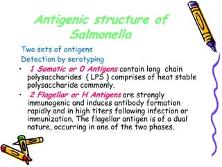 Antigenic structure of
Salmonella
Two sets of antigens
Detection by serotyping
• 1 Somatic or 0 Antigens contain long chain
polysaccharides ( LPS ) comprises of heat stable
polysaccharide commonly.
• 2 Flagellar or H Antigens are strongly
immunogenic and induces antibody formation
rapidly and in high titers following infection or
immunization. The flagellar antigen is of a dual
nature, occurring in one of the two phases.
 