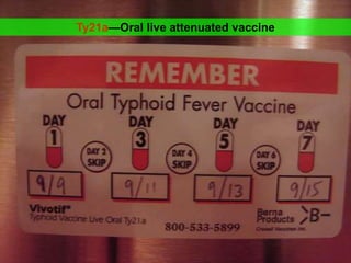 Ty21a—Oral live attenuated vaccine
 