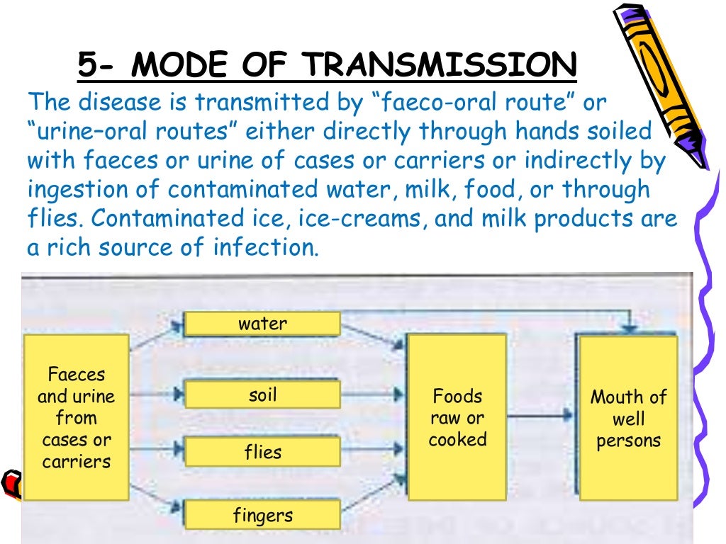 Typhoid fever ppt