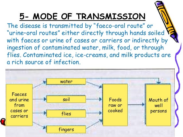 Typhoid fever ppt