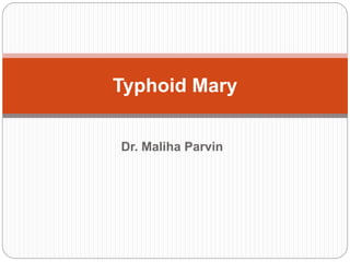 Dr. Maliha Parvin
Typhoid Mary
 