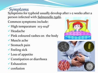 Symptoms
Symptoms for typhoid usually devolop after 1-2 weeks after a
person infected with Salmonella typhi.
Common symptoms include:
 High temparature 103-104F
 Headache
 Pink coloured rashes on the body
 Muscle ache
 Stomach pain
 Feeling sick
 Loss of appetite
 Constipation or diarrhoea
 Exhaustion
 confusion
 