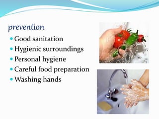prevention
 Good sanitation
 Hygienic surroundings
 Personal hygiene
 Careful food preparation
 Washing hands
 