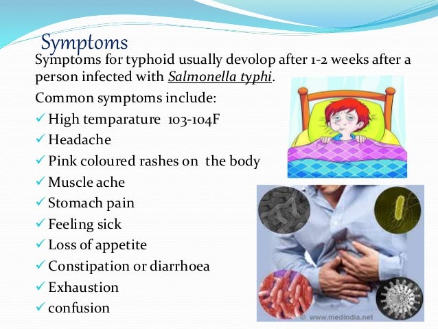 typhoid-ppt