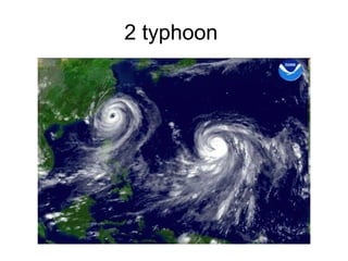2 typhoon  
