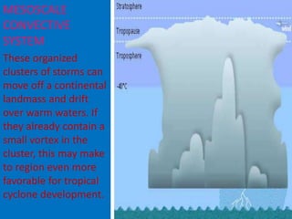 MESOSCALE
CONVECTIVE
SYSTEM
These organized
clusters of storms can
move off a continental
landmass and drift
over warm waters. If
they already contain a
small vortex in the
cluster, this may make
to region even more
favorable for tropical
cyclone development.
 