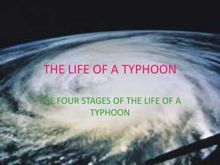 THE LIFE OF A TYPHOON
THE FOUR STAGES OF THE LIFE OF A
TYPHOON
 