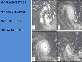 •FORMATIVE STAGE
•IMMATURE STAGE
•MATURE STAGE
•DECAYING STAGE
 