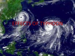 EFFECTS OF TYPHOON
 