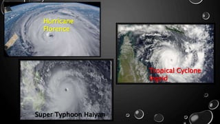 Hurricane
Florence
Tropical Cyclone
Ingrid
Super Typhoon Haiyan
 