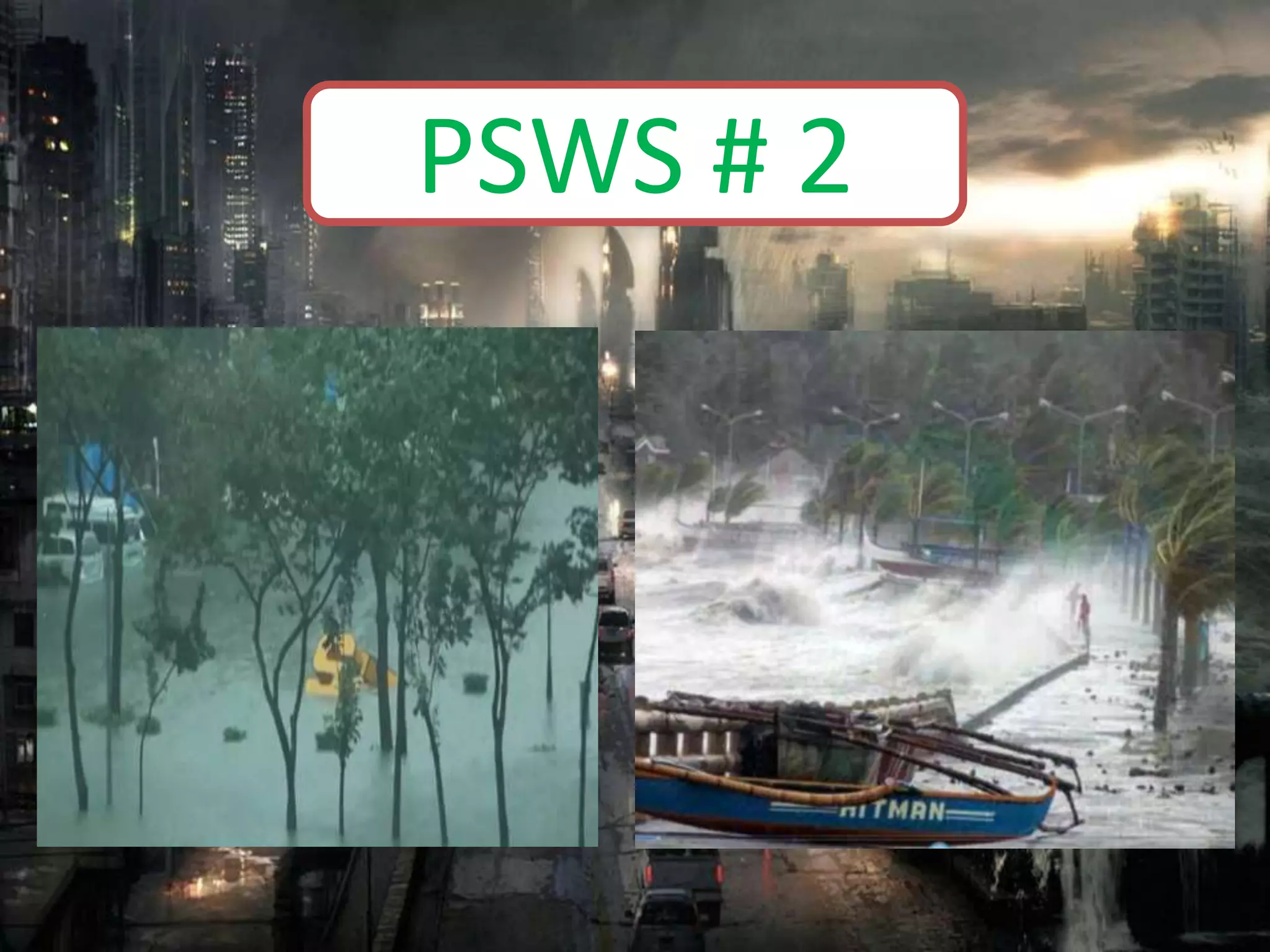 PSWS # 2
 