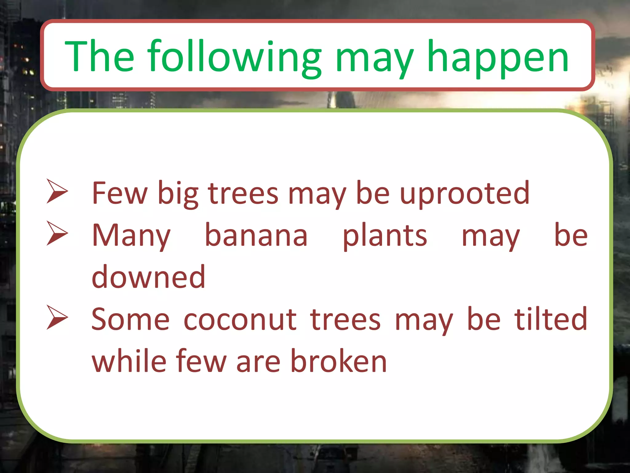  Few big trees may be uprooted
 Many banana plants may be
downed
 Some coconut trees may be tilted
while few are broken
The following may happen
 
