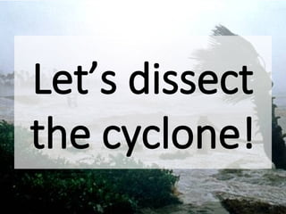 Let’s dissect
the cyclone!
 