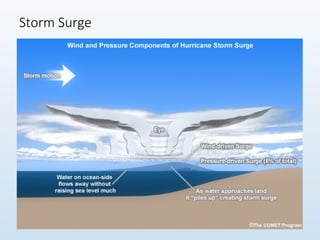 Storm Surge
 