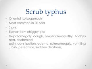 Scrub typhus
•   Oriental tsutsugamushi
•   Most common in SE Asia
•   Signs:
•   Eschar from chigger bite
•   Hepatomegal...