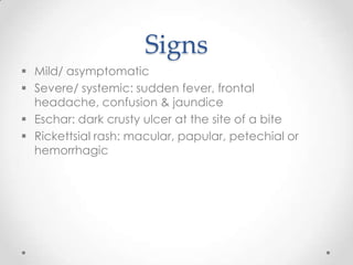 Signs
 Mild/ asymptomatic
 Severe/ systemic: sudden fever, frontal
  headache, confusion & jaundice
 Eschar: dark crust...