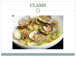 CLAMS