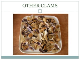OTHER CLAMS