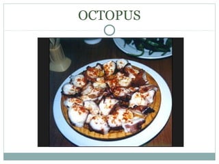 OCTOPUS