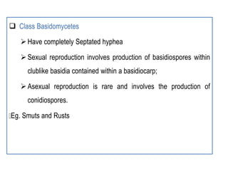 Typical structure of Fungi cell.pptx