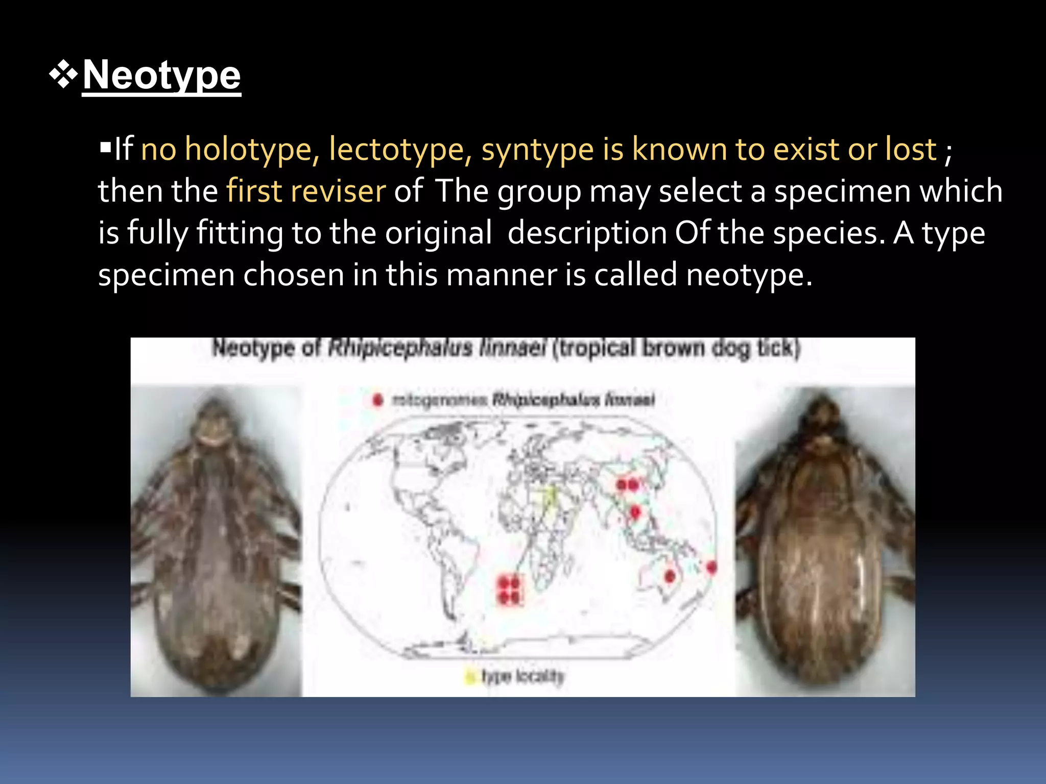 Neotype
If no holotype, lectotype, syntype is known to exist or lost ;
then the first reviser of The group may select a specimen which
is fully fitting to the original description Of the species. A type
specimen chosen in this manner is called neotype.
 