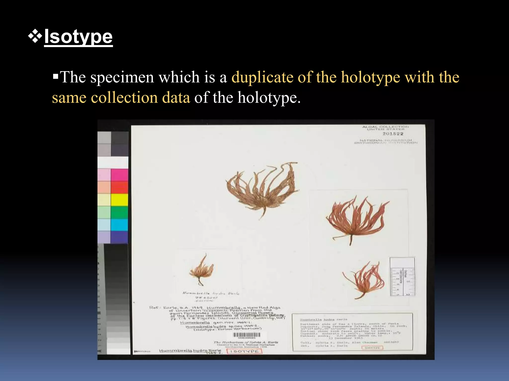 Isotype
The specimen which is a duplicate of the holotype with the
same collection data of the holotype.
 