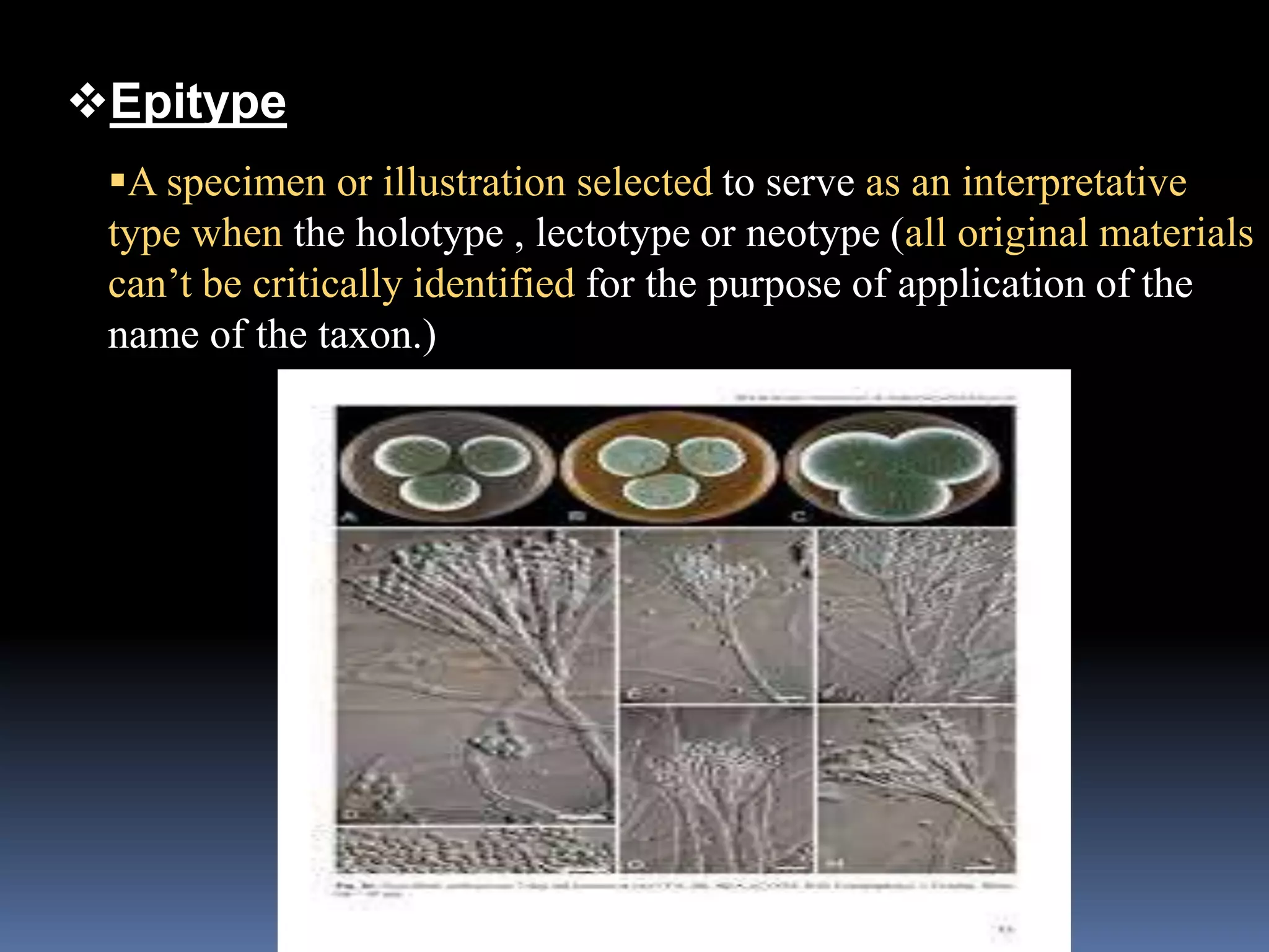 Epitype
A specimen or illustration selected to serve as an interpretative
type when the holotype , lectotype or neotype (all original materials
can’t be critically identified for the purpose of application of the
name of the taxon.)
 