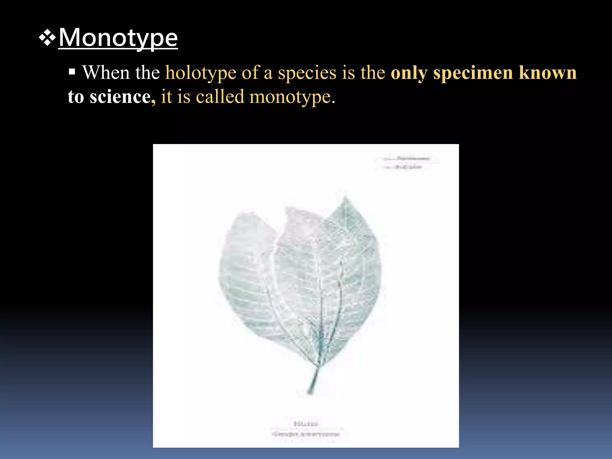 Monotype
 When the holotype of a species is the only specimen known
to science, it is called monotype.
 