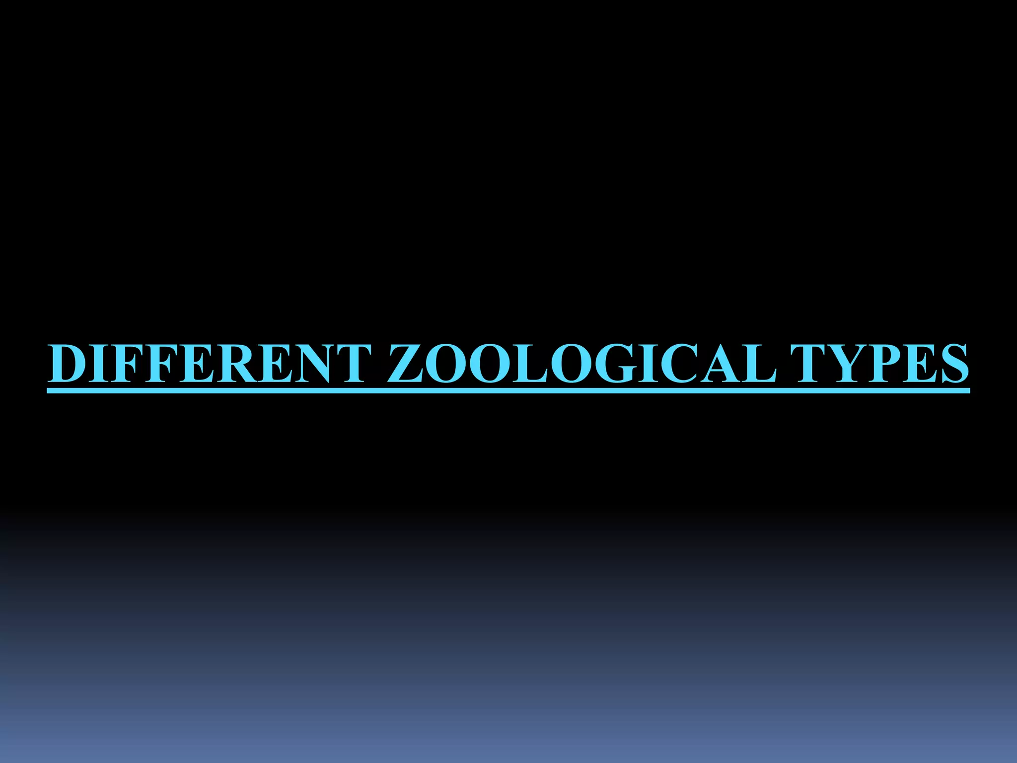 DIFFERENT ZOOLOGICAL TYPES
 