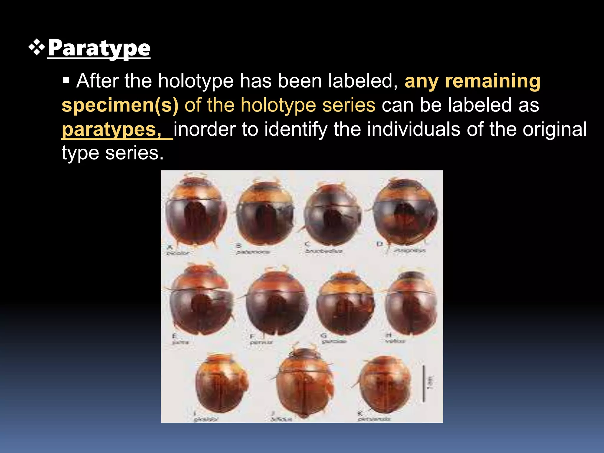 Paratype
 After the holotype has been labeled, any remaining
specimen(s) of the holotype series can be labeled as
paratypes, inorder to identify the individuals of the original
type series.
 