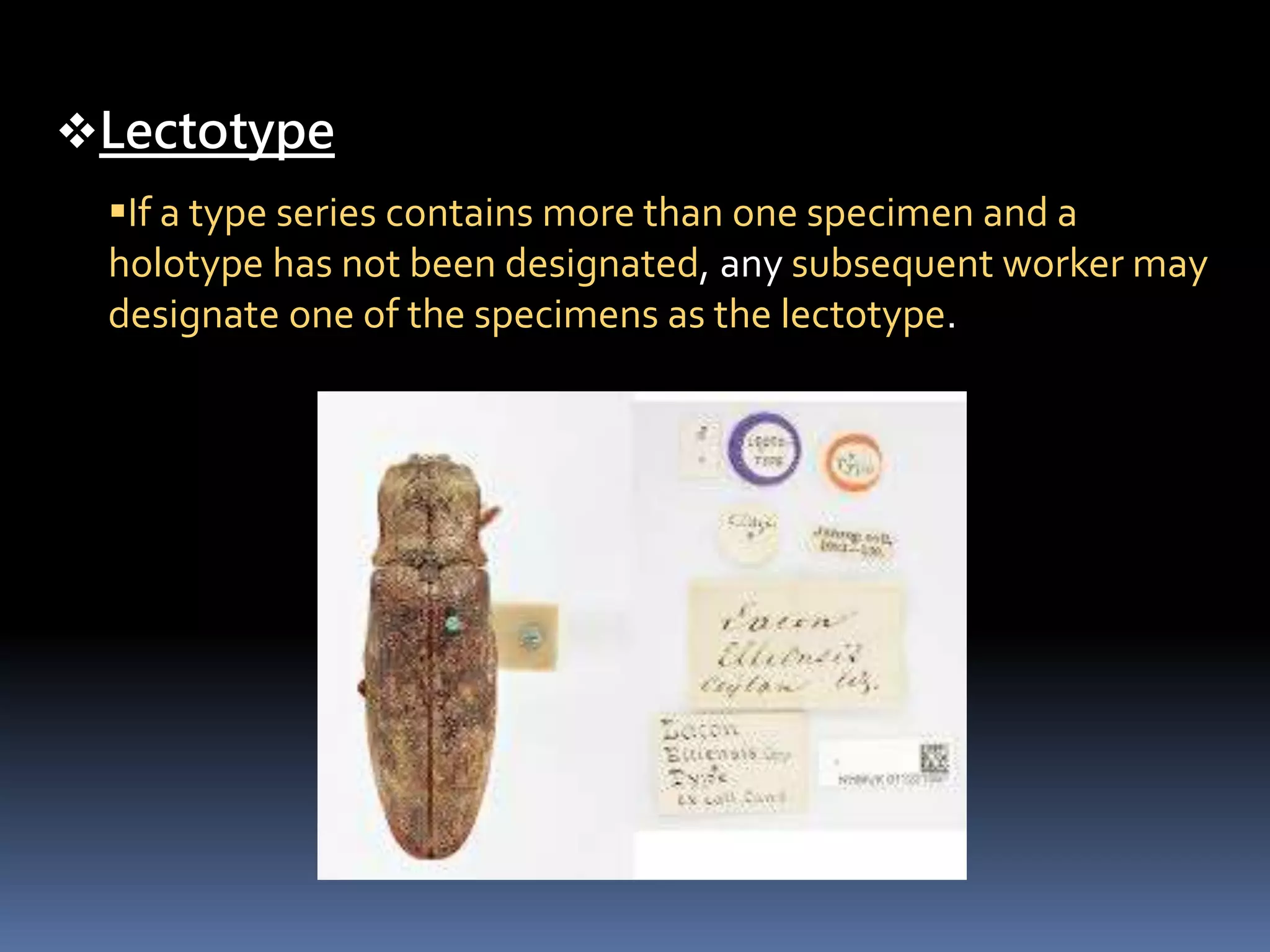 Lectotype
If a type series contains more than one specimen and a
holotype has not been designated, any subsequent worker may
designate one of the specimens as the lectotype.
 